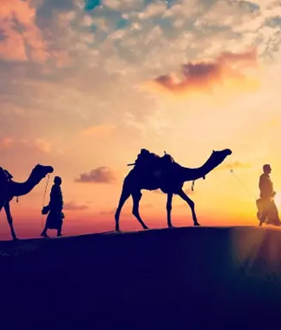 Rajasthan Tour By Car And Driver
